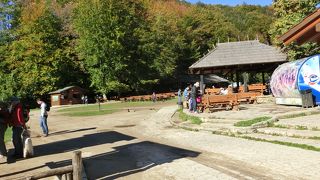 霧が立ち登り幻想的な景色でした