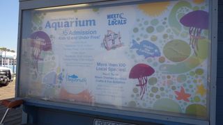 リラックスできる水族館