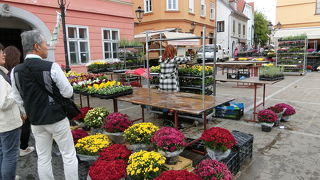 イヴァナ トカルシカ通りに囲まれた Dolac(ドラツ) 