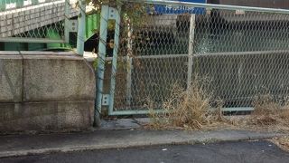 横浜駅近くはあまりきれいじゃないかも。