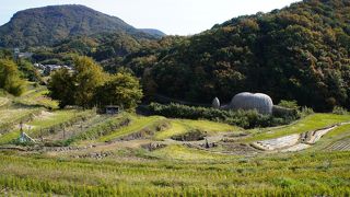 のどかな田園風景