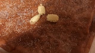 クレープ専門店。