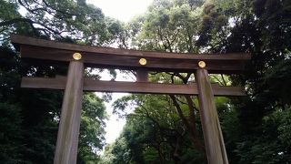 自然豊かな明治神宮