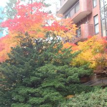 こんな景色を毎日眺められるマンションに住んでみたいです。