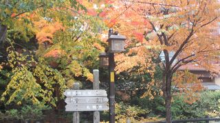 ｢かもかもがわ｣は散策におすすめです。