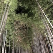 京都・嵐山花灯路