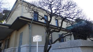 大石主税ゆかりの梅