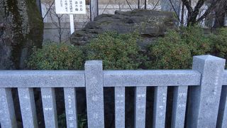 名前は強烈ですが