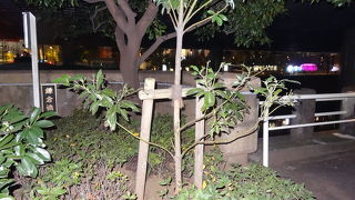 外堀通り × 日本橋川