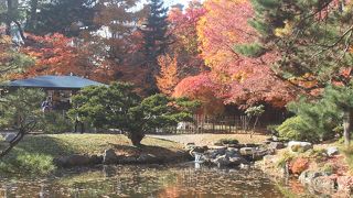 秋色に染まった池泉式公園を散策。