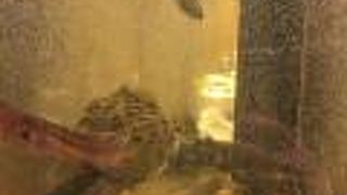 個室でゆっくり