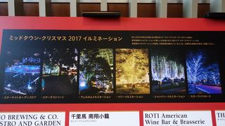 大人っぽい静かなイルミネーション