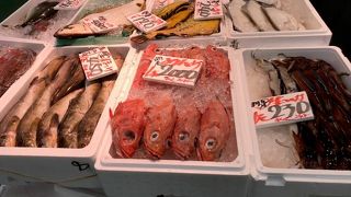 勝手丼には目もくれず