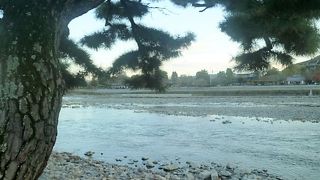 松も川沿いにある桂川