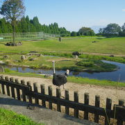 平川動物公園