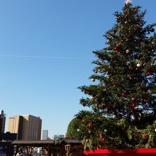 クリスマスツリー