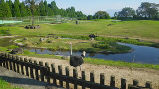 平川動物公園