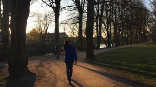 マルメ城の南に広がる大きな公園