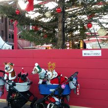 ワンちゃんもクリスマス