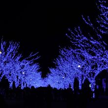 交差点から奥の方を眺める