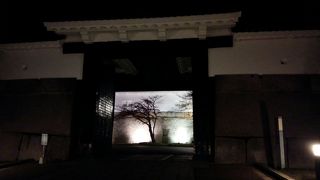 朝から入れて賑やか