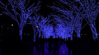 渋谷の青の洞窟は渋谷駅側から見に行った方がおすすめです。