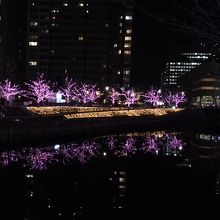 五反田ふれあい水辺広場 