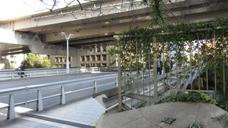 欄干が低いです