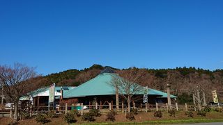 地元の農産物が沢山！