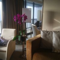 本物の胡蝶蘭です