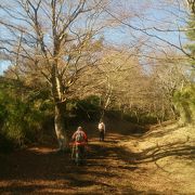 箱根湯本から湯坂路を行く