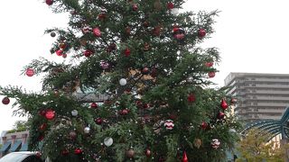 大きなクリスマスツリーが迎えてくれます