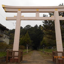 大きな鳥居に暗めの参道