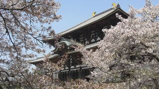 思ったよりも長かった参道