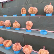 ドリアンがありました