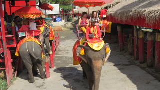 象乗りをしました