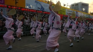 見ているだけで体が熱くなる大好きなお祭り