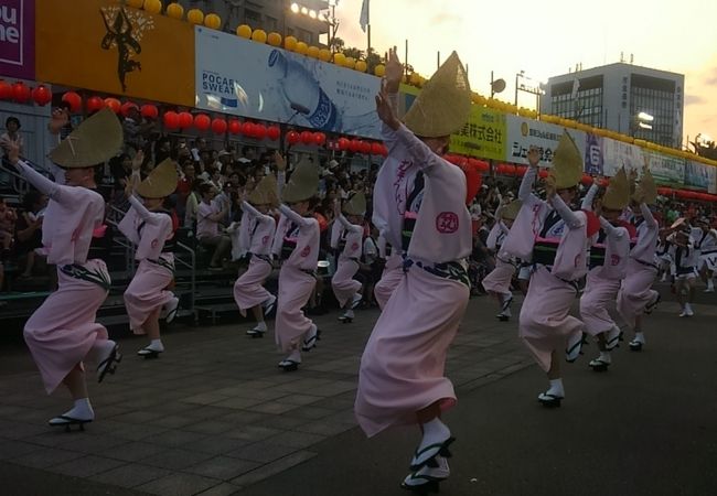 見ているだけで体が熱くなる大好きなお祭り