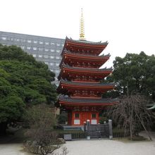 インスタ映えしそうな朱色