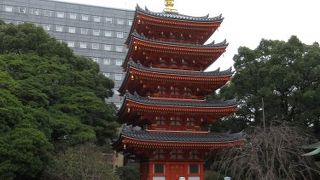 公開タイミングを逸す