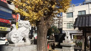 柏駅から程近い