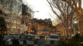 歩道橋使えません