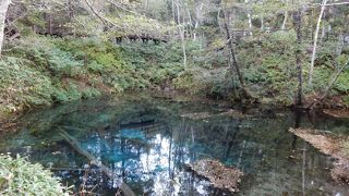 言うほど青くなかったけど、水は澄んでいてきれい