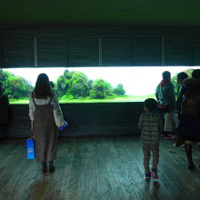 横長い水槽が入ると展示されています