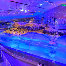 ペンギンコーナー