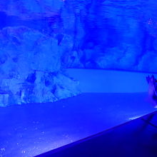 ペンギンの水槽は水の中も見れるようにしています