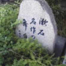 意外な発見でした