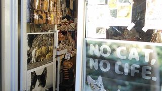 ねこぐっずがたくさん