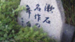 こんなことろに