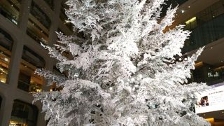 雪化粧したクリスマスツリー